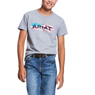 Ariat Western: Flag Tone Camisetas Niños - Gris (PFLRS7361)